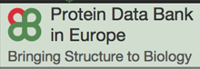 Protein Data Bank