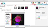Organise Your Data by Thumbnails and view them by fully Multi-dimensional Image Viewer in Your Web Browser