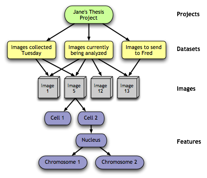 Object Hierarchy — OME